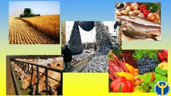 Понад 10 000 черкащан успішно знайшли роботу у галузі сільського ...