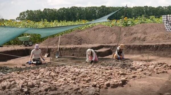 “Все цікаве ще попереду”: як на Черкащині досліджують поселення трипільців